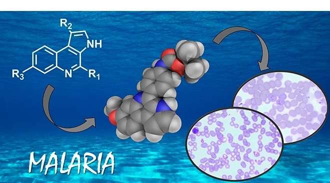 一個新的高效的選擇性分子對抗瘧疾