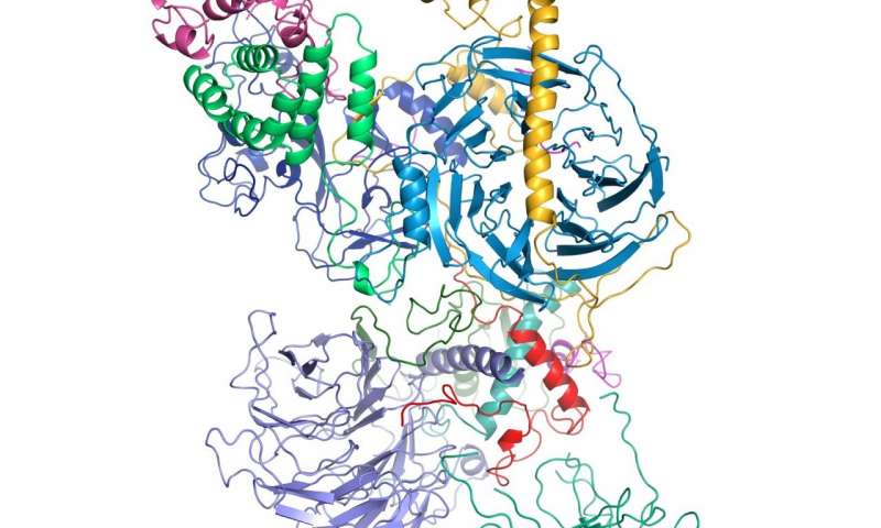 科學(xué)家形象分子對基因調(diào)控至關(guān)重要