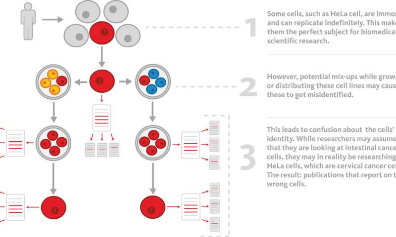 細(xì)胞系錯(cuò)誤識(shí)別如何污染科學(xué)文獻(xiàn)