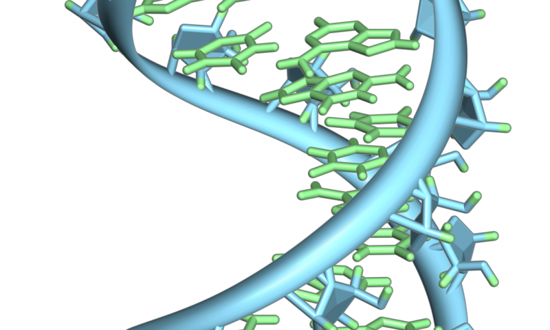 未發(fā)現(xiàn)CRISPR-Cas系統(tǒng)的新細(xì)菌防御機(jī)制