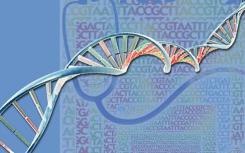 CRISPR Toolbox獲得增強的Cas12a用于基因組編輯