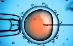 輔助生殖技術暫時在基因上留下印記