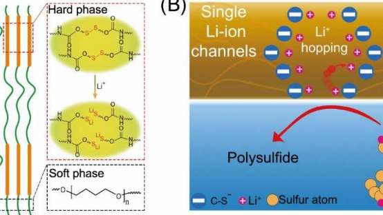 單一鋰離子通道聚合物粘合劑穩(wěn)定硫陰極